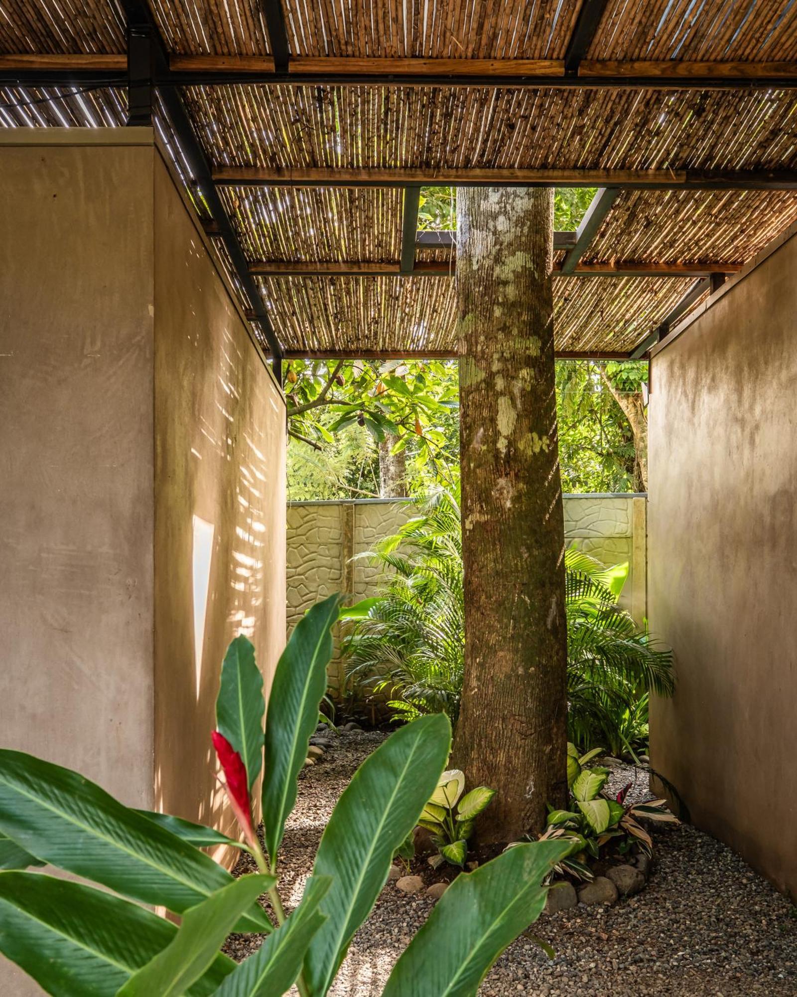 La Bonita Lodge Puerto Viejo de Talamanca المظهر الخارجي الصورة