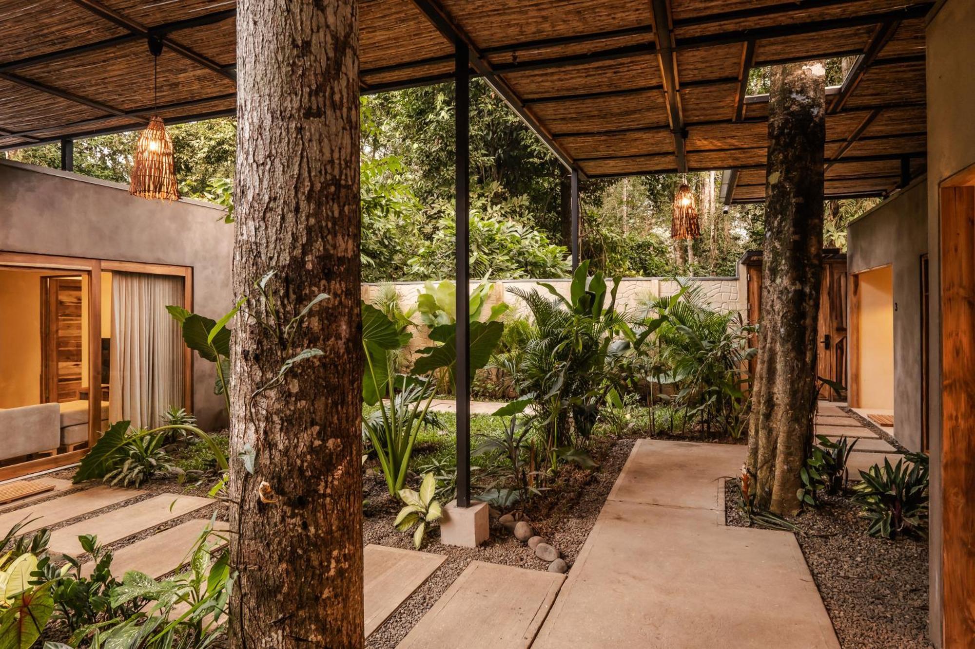 La Bonita Lodge Puerto Viejo de Talamanca المظهر الخارجي الصورة