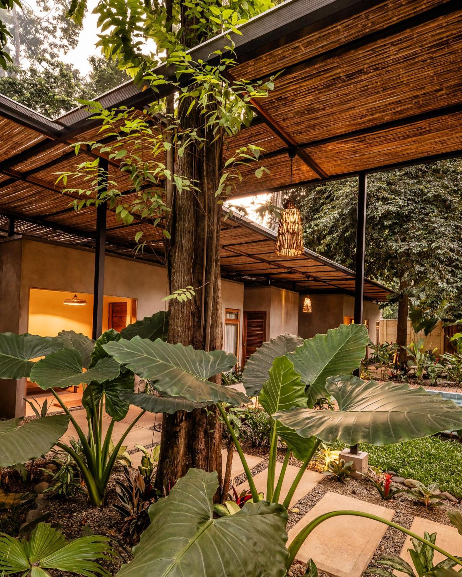 La Bonita Lodge Puerto Viejo de Talamanca المظهر الخارجي الصورة
